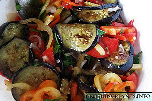 Badımcan və pomidor salatı - reseptlərin ən yaxşı seçimi