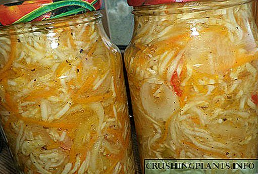 Корејски салати од тиква за зимата