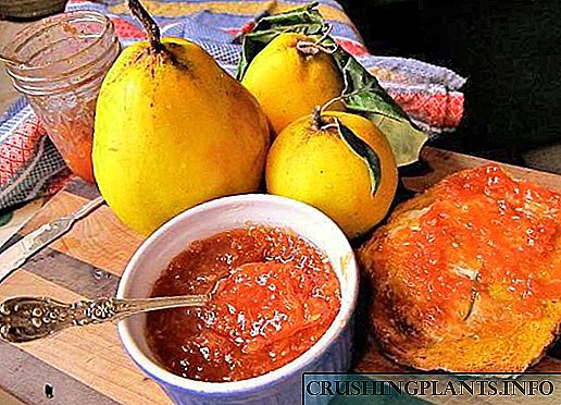 Resep jem quince sing paling gampang lan paling enak