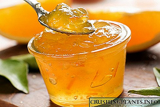 Највкусните и интересни рецепти за џем од портокал