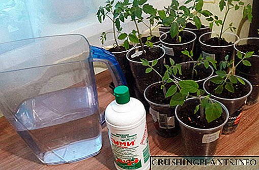 Izbalansirana i sigurna gornja obrada za sve biljke - Gumi gnojivo