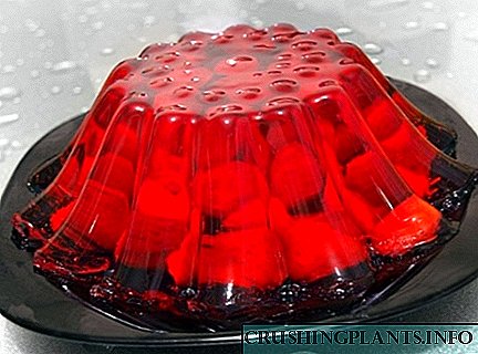 Ang mga lihim ng paggawa ng masarap na homemade jelly