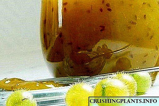 Ang mga lihim ng paggawa ng masarap na jelly mula sa mga gooseberry na may dalandan