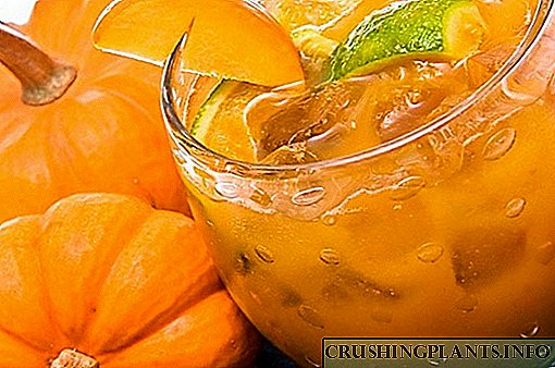 Сок од тиква со портокал за сончево зимско расположение