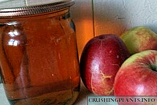 Sok od jabuka za zimu, dobiven iz sokovnika: savjeti, recepti, opis