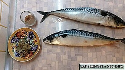 Mchere mackerel kunyumba: momwe mungachitire bwino