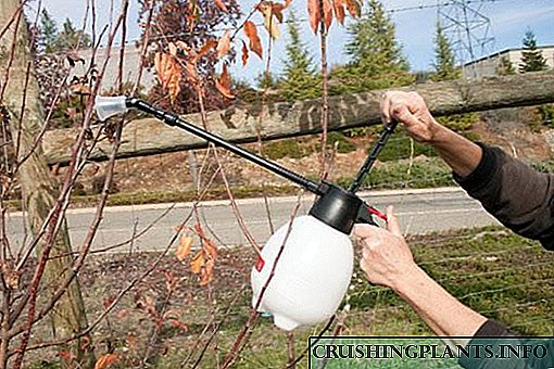 Datas de tratamento de xardín con urea con sulfato de cobre na primavera