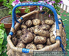 Vrijeme sazrijevanja krumpira