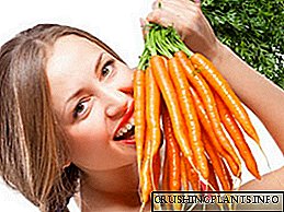 Датуми на садење моркови во предградијата