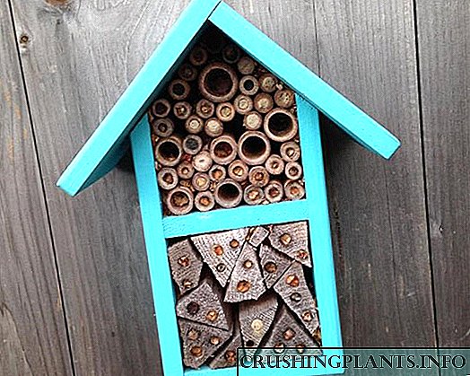 Изградете куќа за осамени пчели