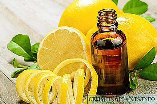 Karakteristikat e vajit esencial të limonit dhe aplikimin e tij