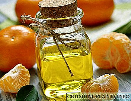 Eienskappe en gebruike van eteriese olie van mandaryns