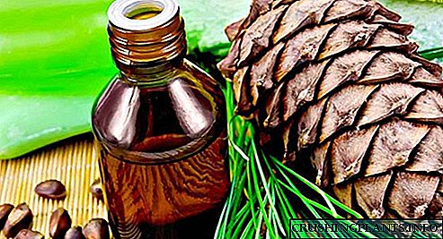 Segredos de aplicación e propiedades curativas do aceite esencial de cedro