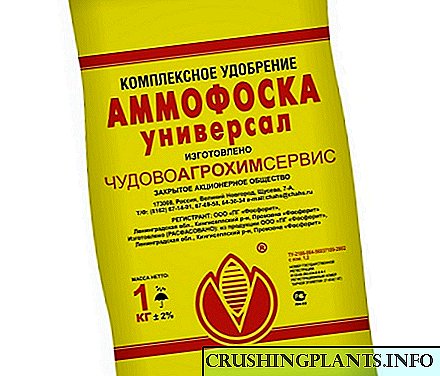 Ammofosk pataba - mga tampok ng application para sa lumalagong patatas