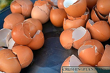 کود پوسته تخم مرغ - برای کدام گیاه باید بکار رود؟