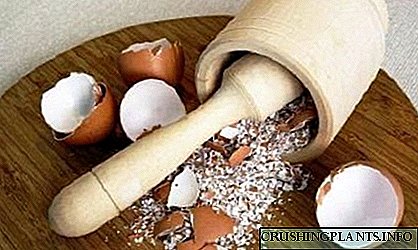 Ang pataba ng egg egg: gamitin para sa mga kamatis at mga pipino