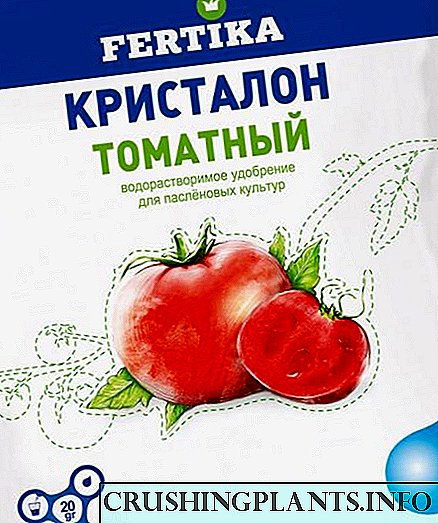 Pupuk Kristallon - aplikasi kanggo tomat