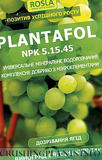Pupuk plantafol kanggo dipangan anggur