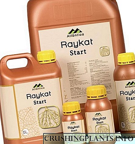 Fertilizer Raikat Start: mekhoa ea kopo le litekanyetso