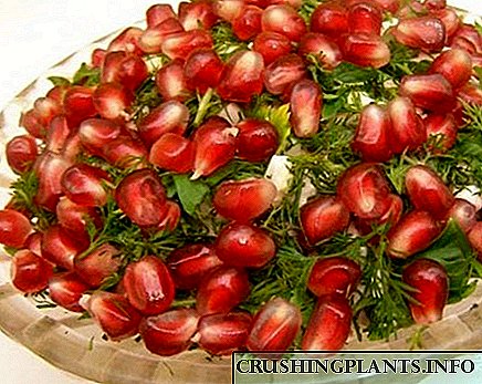 Nchọgharị okpokoro dị ụtọ - salad na pọmigranet