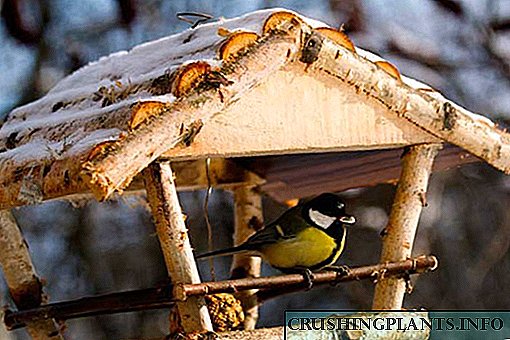 Градинарска декорација - фидер за птици DIY
