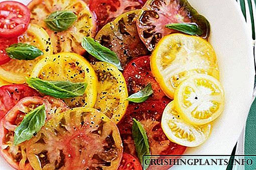 Dekoratë e nxehtë e verës - varietete sallate me domate