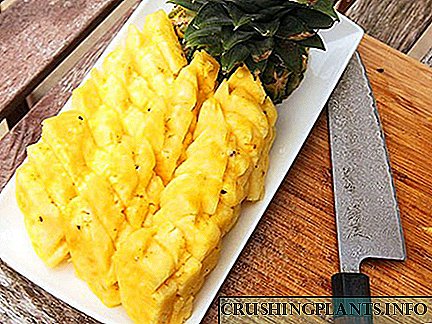Умерената потрошувачка на зрела сладок ананас само ќе има корист