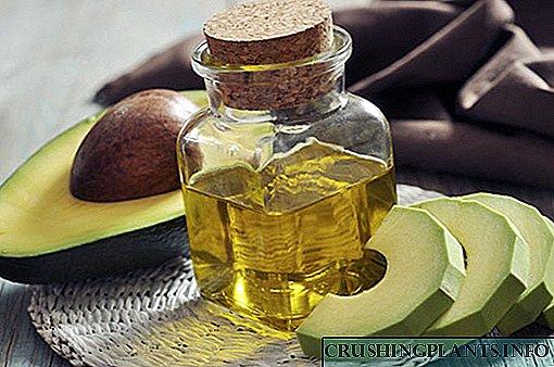 Уникатни својства и апликации на масло од авокадо