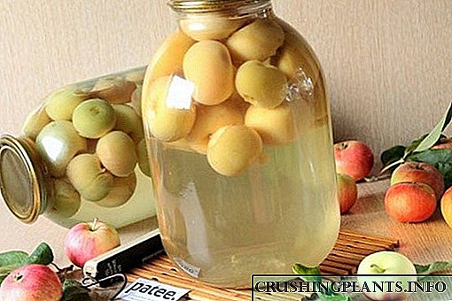 Универзални рецепти задушени јаболка за зима