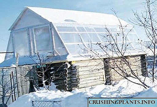 Ние инсталираме стаклена градина на покривот или поткровјето на куќата
