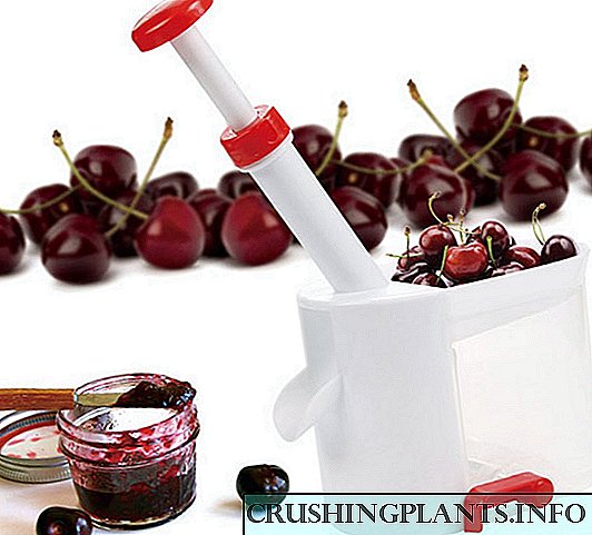 Piranti kanggo ngilangi liang saka cherry karo Aliexpress