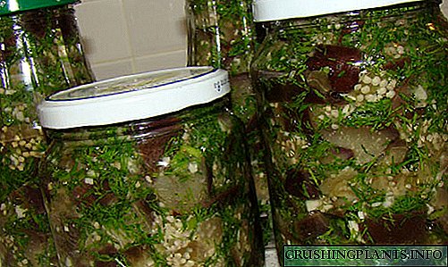 Options de coctione canned eggplant tanquam fungos esse generatos