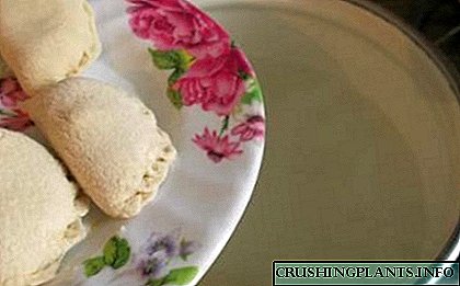 A Cook awọn dumplings ni deede: ninu kini, bawo ati iye melo