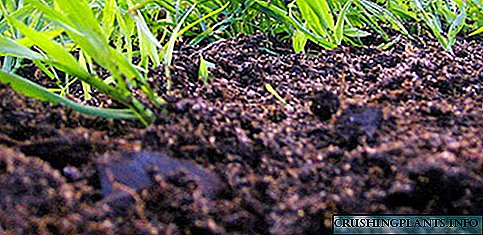 Водечки фактор во плодноста на различни типови почви е хумус