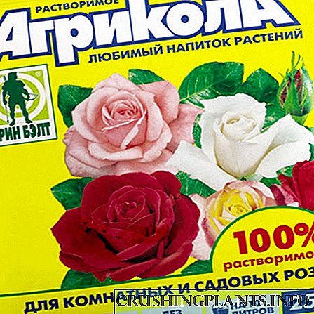 Пролетни минерални ѓубривачки рози како гаранција за бујна цветни