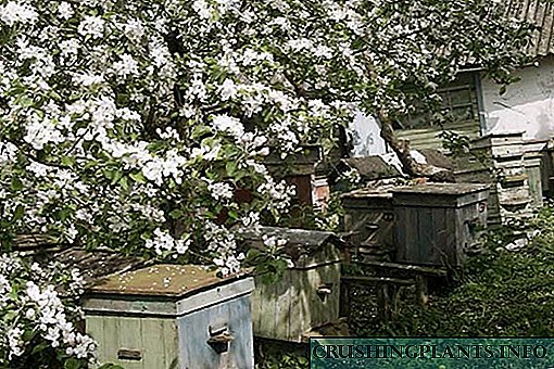 Пролетна работа во пчеларникот (видео и опис)