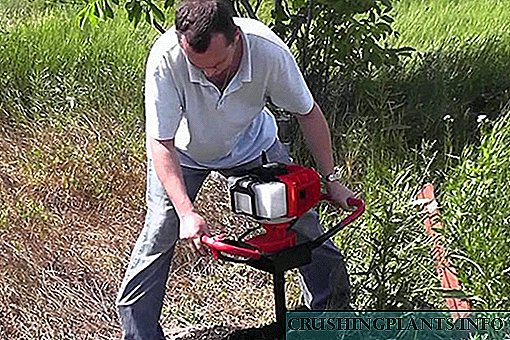 Escolla un simulador de motor de gasolina para o xardín en Alieksperss