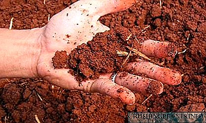 Изберете тревник за глинеста почва