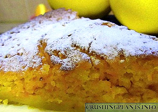 Muna zaɓar girke-girke kuma gasa wani kek na lemongrass don teburin abinci