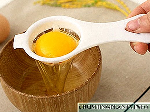 Elixir un separador de ovos de China