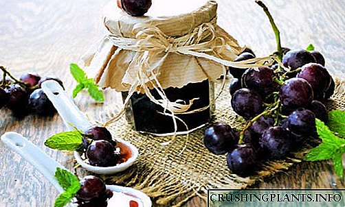 Jam grape - recipes bi aroma havînê