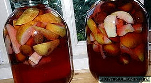 Vitamiene in 'n pot: kompote appels en pere vir die winter