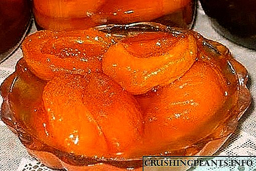 Rasa usum panas atanapi jam aprikot seedless
