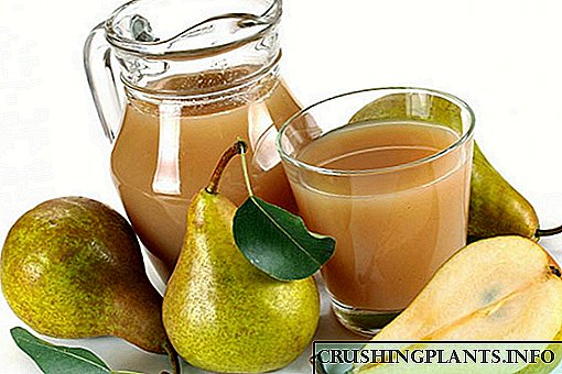 ဆောင်းတွင်းအဘို့အရသာချက်ပြုတ်နည်းများ: အ juicer မှတဆင့်သစ်တော်သီးဖျော်ရည်