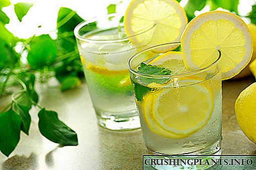 Вода со лимон - здравствена превенција