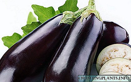 Nag-ani kami mga uga nga eggplants para magamit sa umaabot