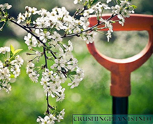 Hotешки мај во градината: пролетни долгови на летен жител