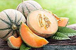 Naon ari cantaloupe melon sareng mangpaat mangpaatna?