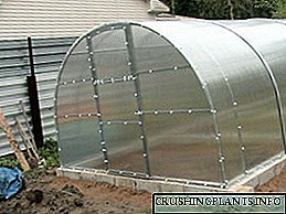 Giunsa ang pag-instalar sa usa ka polycarbonate nga greenhouse sa usa ka site nga husto