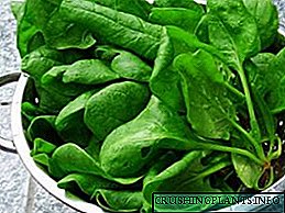 Spinach: id est, nocet et ad beneficia, et fomitibus ignis